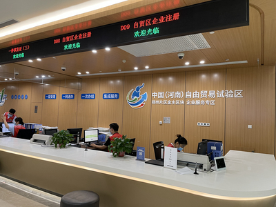 辦理指南 信息技術咨詢服務審批與流程詳解